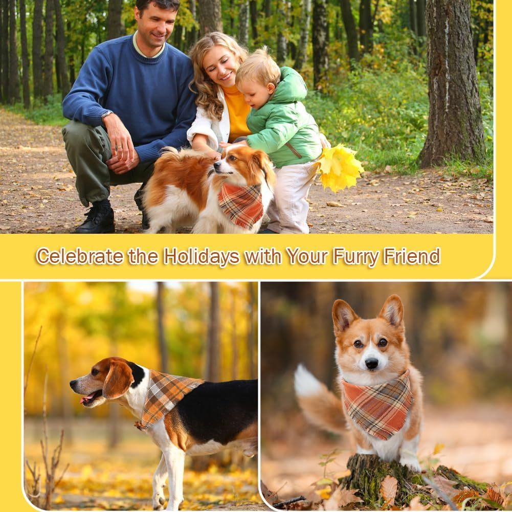 Vivifying Fall Dog Bandana With Tassels