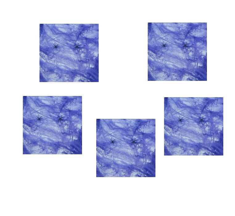 Halloween Spider Cotton – Haunted House & Horror Decoration