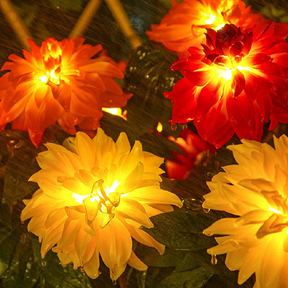 New Outdoor Waterproof Solar Lanterns – European - Style LED Garden & Yard Lights (Dahlia Series)
